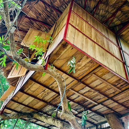 Отель Muong Retreat- Nghi Duong Xanh Trong Bao Tang Van Hoa Nghe Thuat,Hoa Binh Экстерьер фото